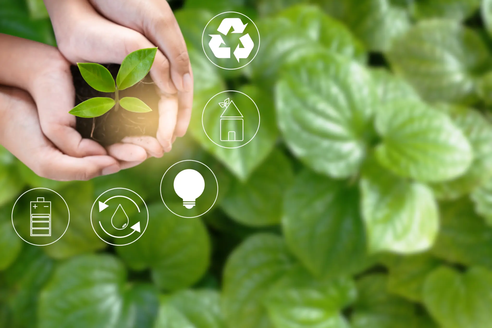 Sustainable furniture design